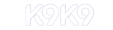 K9K94